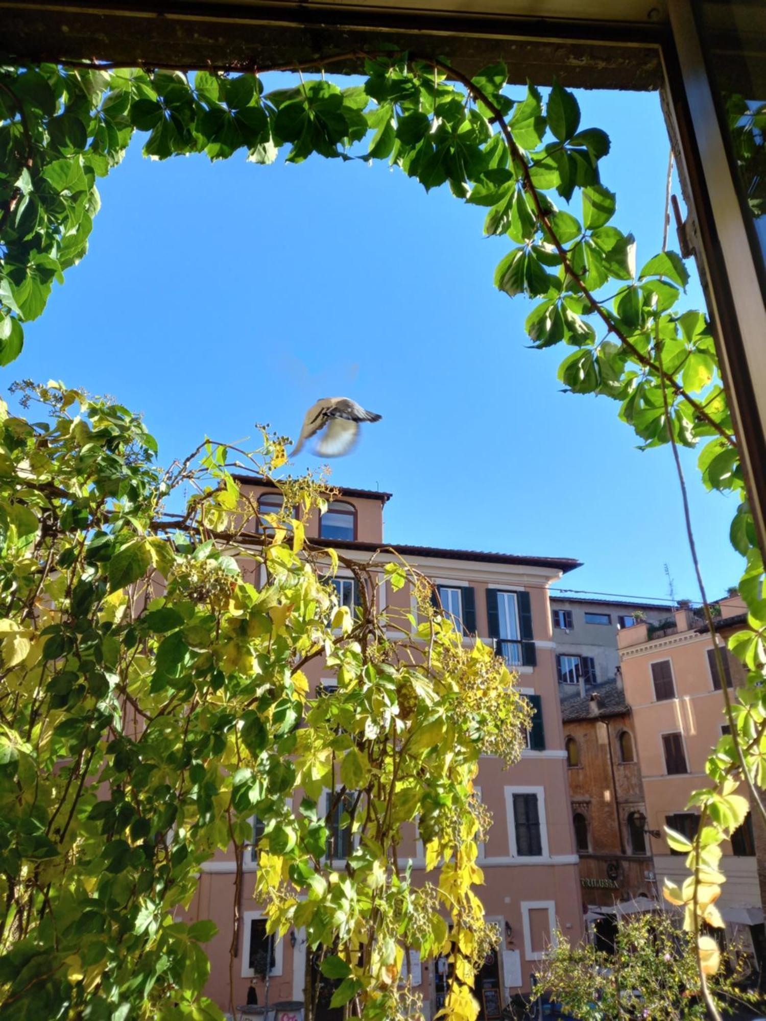 Central Apartment In Trastevere Rome Ruang foto